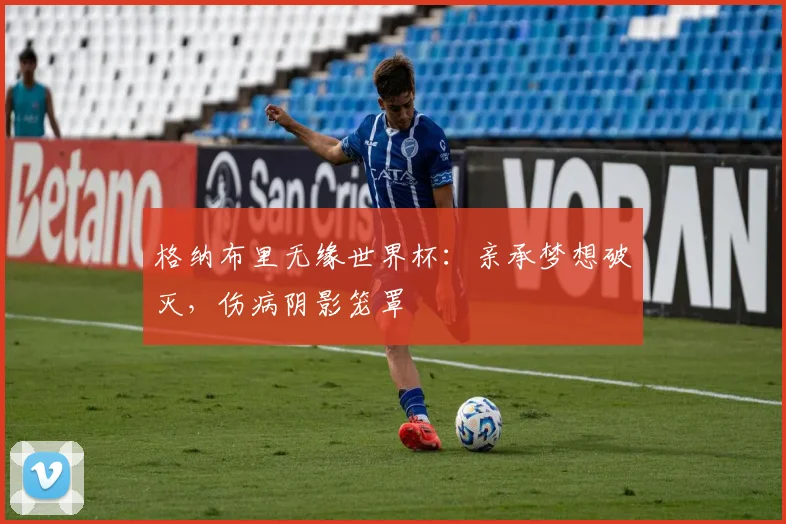 格纳布里无缘世界杯：亲承梦想破灭，伤病阴影笼罩