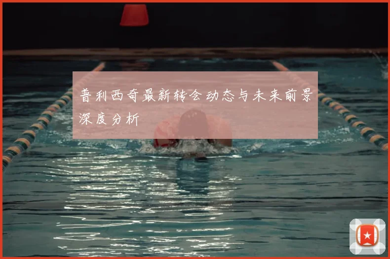 普利西奇最新转会动态与未来前景深度分析