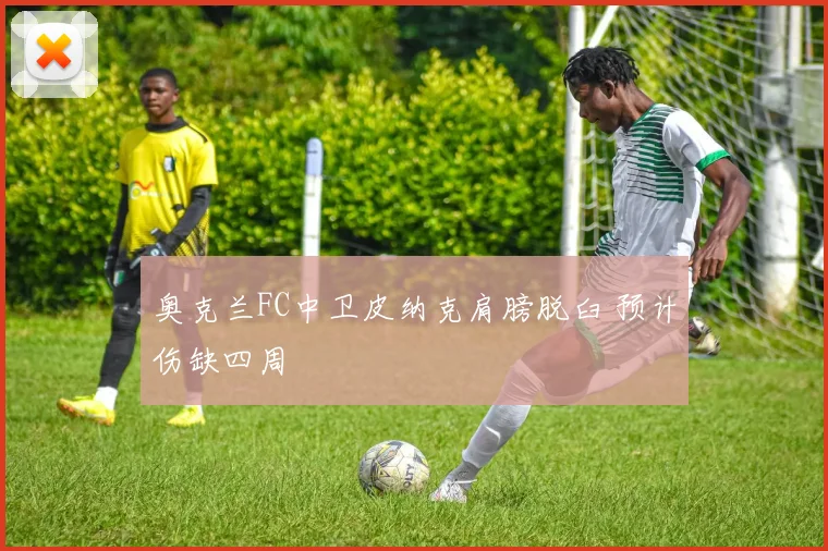 奥克兰FC中卫皮纳克肩膀脱臼 预计伤缺四周