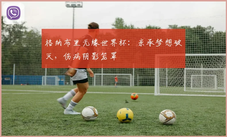格纳布里无缘世界杯：亲承梦想破灭，伤病阴影笼罩